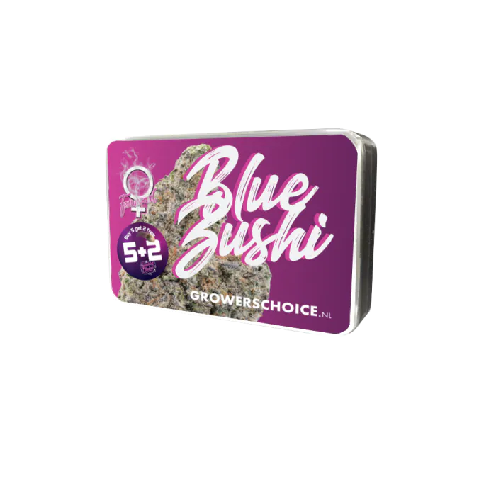 a purple box of blue sushi on a black background