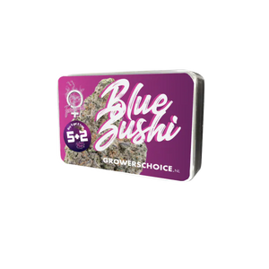 a purple box of blue sushi on a black background