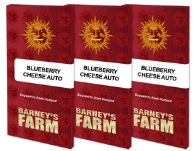a set of three blueberry cheese auto books