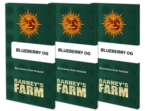a set of three blueberry log books