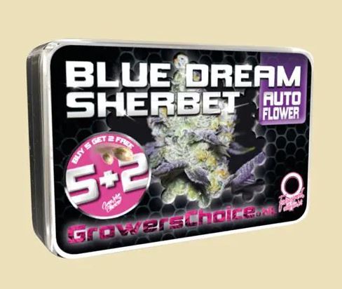 a tin of blue dream sherbet