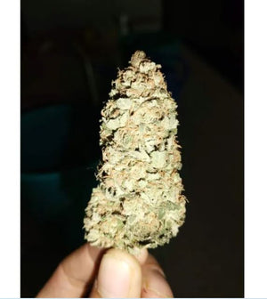 a hand holding a weed in it's palm