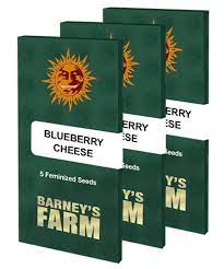 a set of four blueberry cheese bags