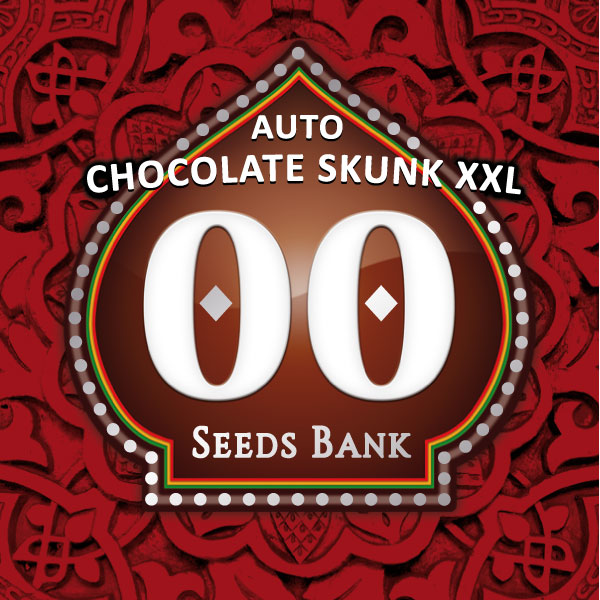 auto chocolate skunk xxl seeds bank