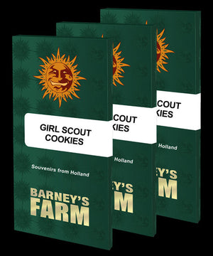 three book covers for the girl scout cookies series