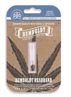 the hemolit headband is packaged in a package