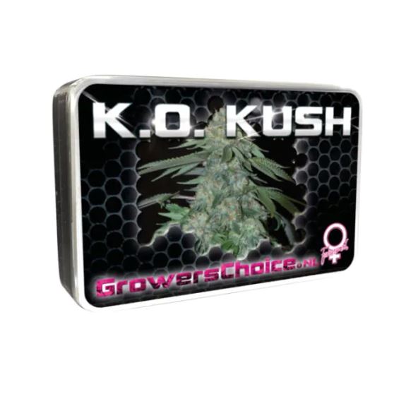 a tin with a marijuana plant in it