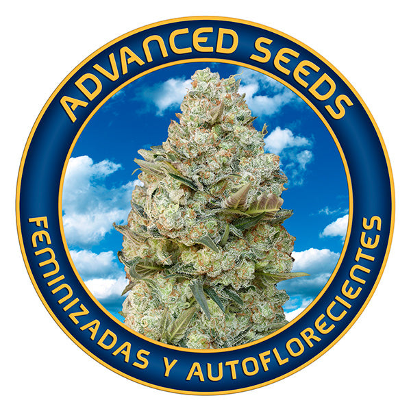 a picture of a marijuana plant with the words advanced seeds on it