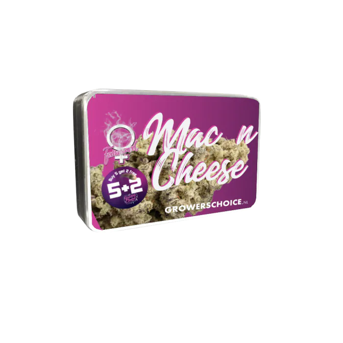 a package of mac n cheese