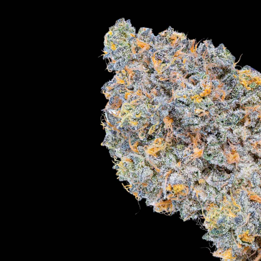 Rainbow Sherbet - Photo FEM