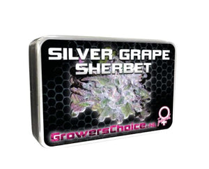 a tin of silver grape sherbet on a white background