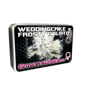 a tin of wedding cake frosty gelato