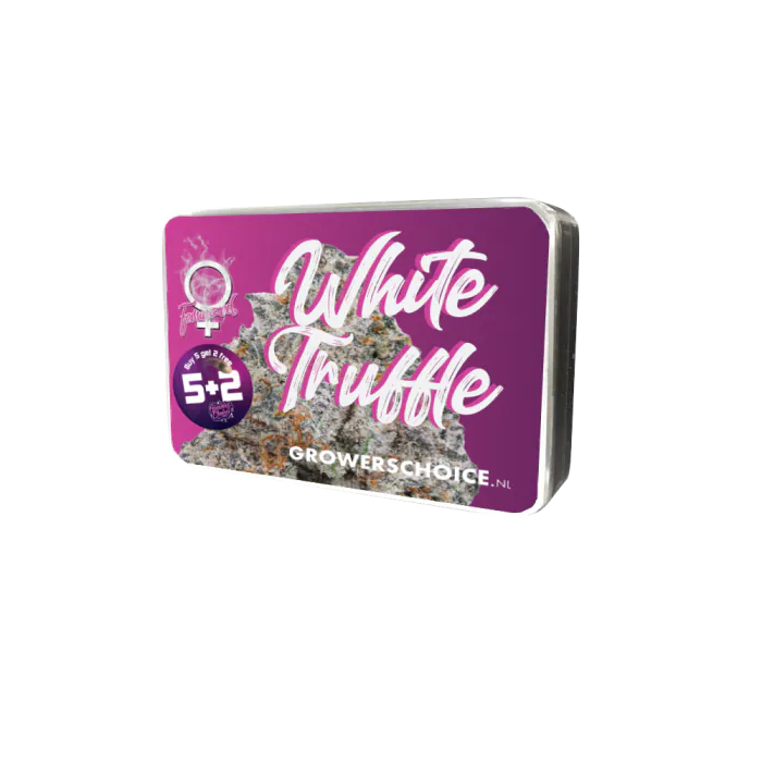 a box of white truffe cannabis