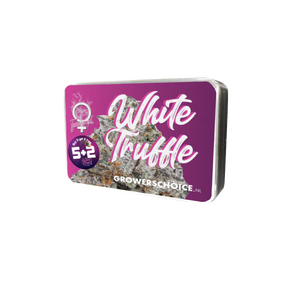 a box of white truffe cannabis