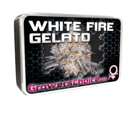 a tin of white fire gelato on a white background