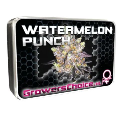 a tin of watermelon punch on a white background