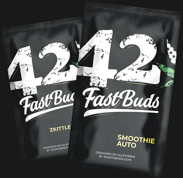 two packets of 24 fast buds sitting next to each other