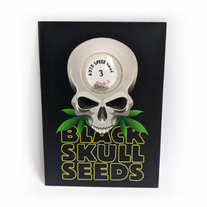 a black skull seeds box with a clock on top of it