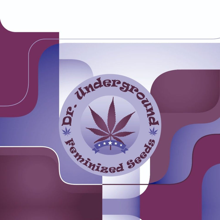 a purple and white background with a marijuana leaf