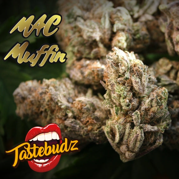 a close up of a marijuana plant with the words mac muffin on it