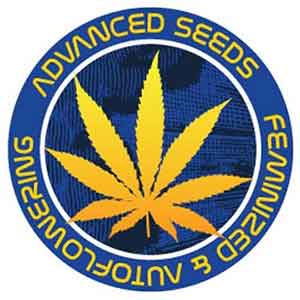 a blue and yellow logo with a marijuana leaf
