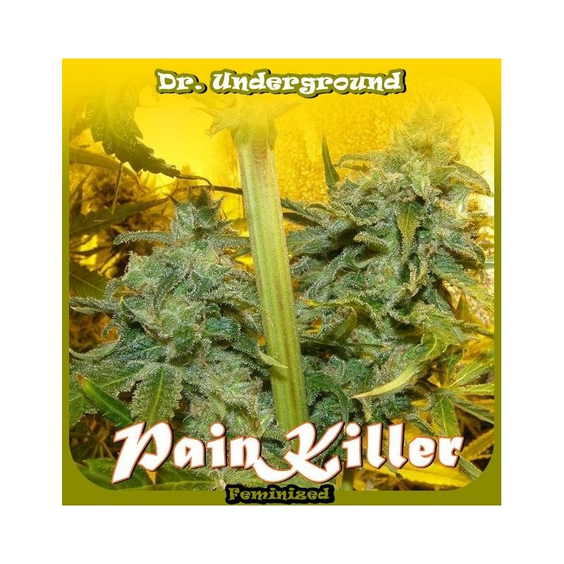 a picture of a plant with the words pain killer on it