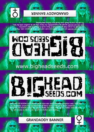 two stickers with the words bighead seeds on them