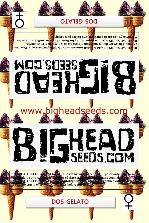 a bunch of ice cream cones with the words bighead seeds on them