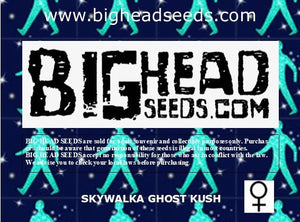 the back cover of the book bighead seeds com
