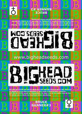 a poster for a bighead seed company