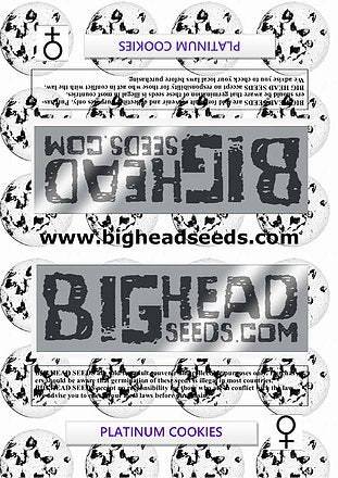 a set of three stickers with the words bighead on them