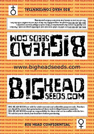 the back of a poster for bighead seeds