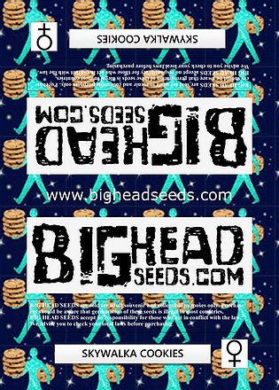 a picture of a group of cookies with the words bighead seeds on them