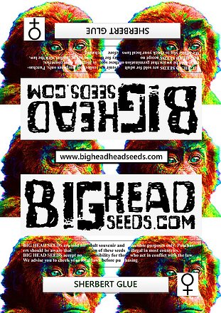 a picture of a monkey with the words bighead seeds on it