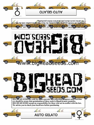 a set of three stickers with the words bighead seeds on them