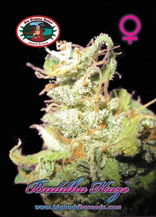 a marijuana plant with a female symbol on it