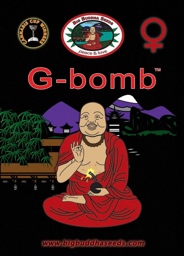 a picture of a buddha with the words g - bomb on it
