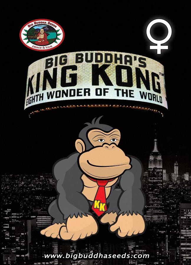 a sign that says big buddha's king kong with wonder of the world