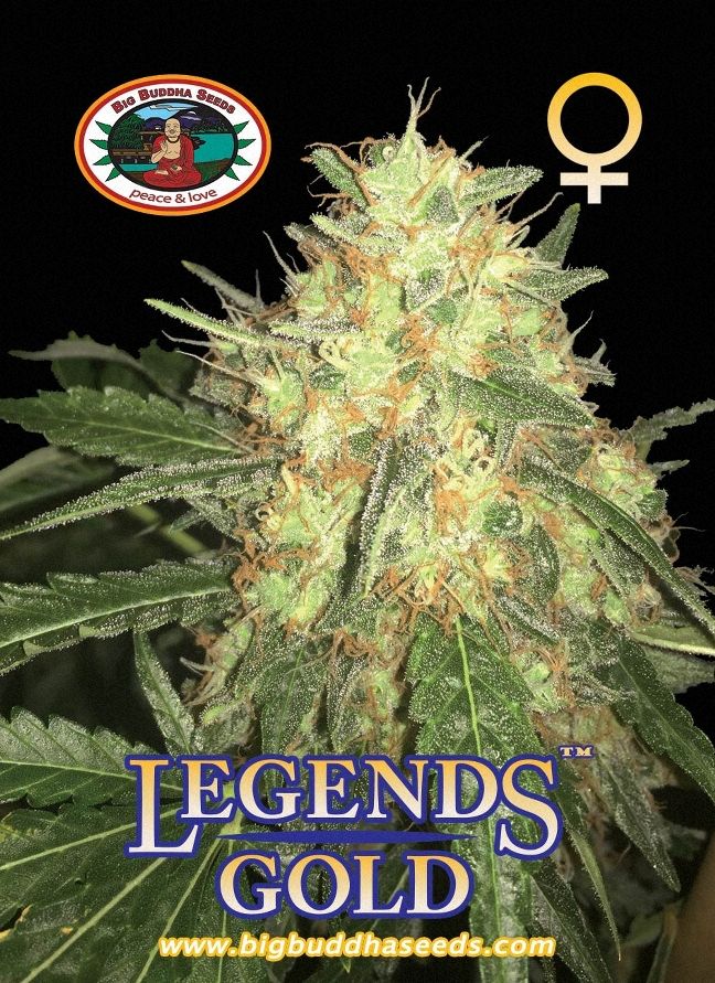 a marijuana plant with the words legend's gold on it