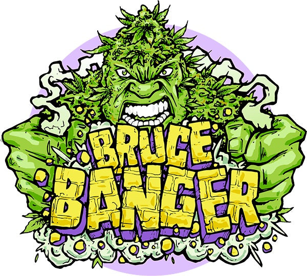 Bruce Banner Hybrid Terps - Cannabis Derived Terpenes
