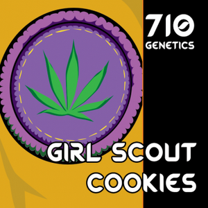 a picture of a girl scout cookie with the words girl scout cookies