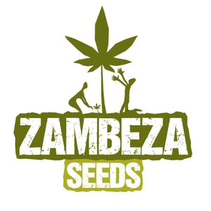 the logo for a cannabis seed company