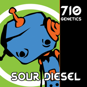 a picture of a cartoon character with the words sour diesel on it