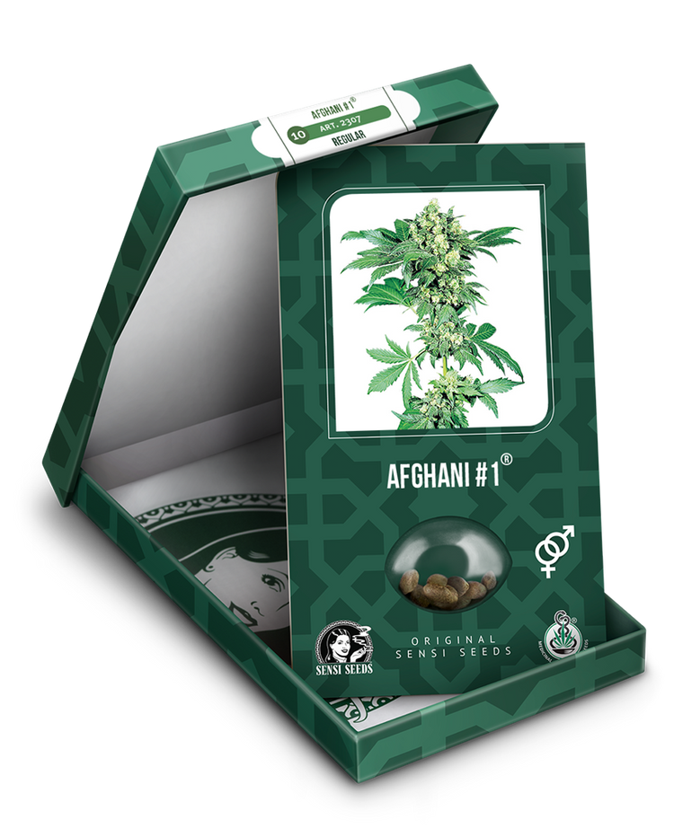 a green box with a marijuana plant inside of it