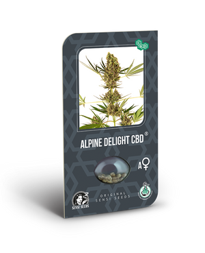 a package of alpine delight cbd