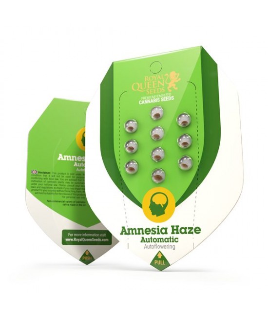a green and white packaging for an amnesia haze
