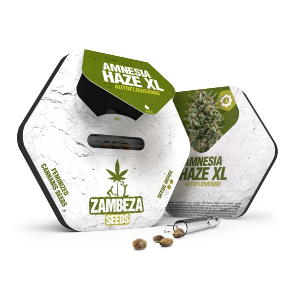 a package of cannabis seeds sitting on top of a white box