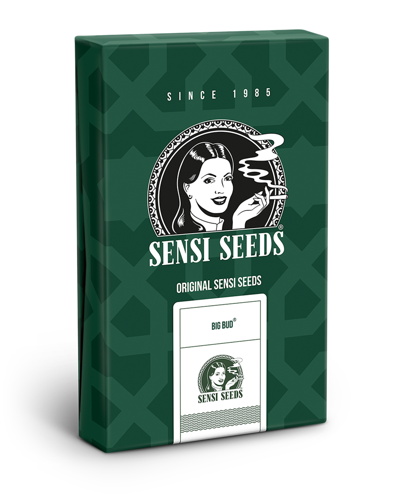 a box of seeds with a woman's face on it