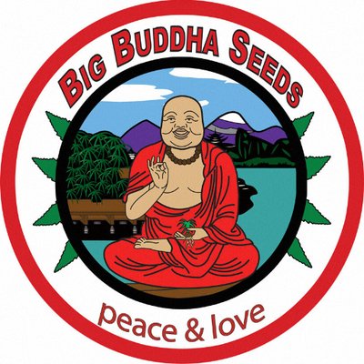 the logo for the big buddha seeds peace and love