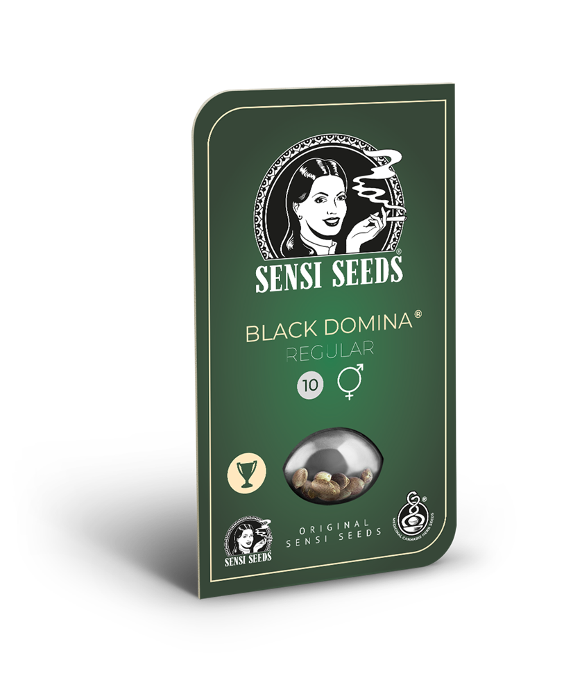 a box of black domino seeds